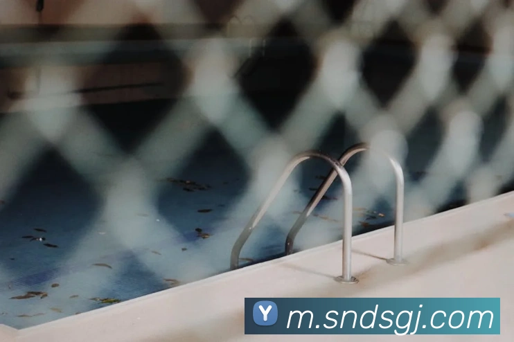 东升国际服务体系